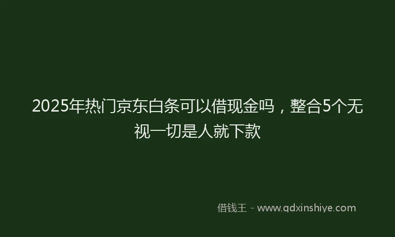 2025年热门京东白条可以借现金吗，整合5个无视一切是人就下款