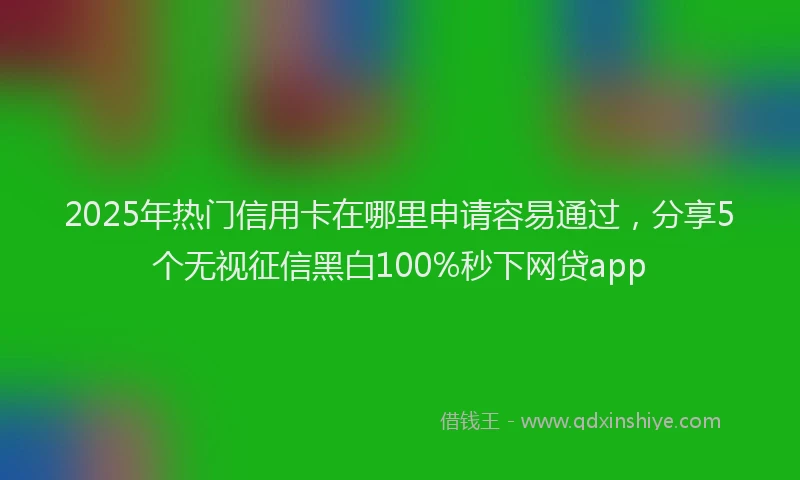 2025年热门信用卡在哪里申请容易通过，分享5个无视征信黑白100%秒下网贷app
