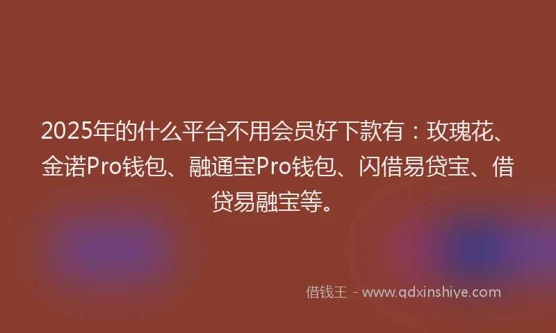 2025年的什么平台不用会员好下款有：玫瑰花、金诺Pro钱包、融通宝Pro钱包、闪借易贷宝、借贷易融宝等。