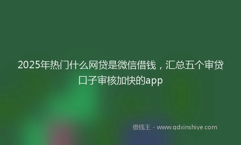 2025年热门什么网贷是微信借钱，汇总五个审贷口子审核加快的app