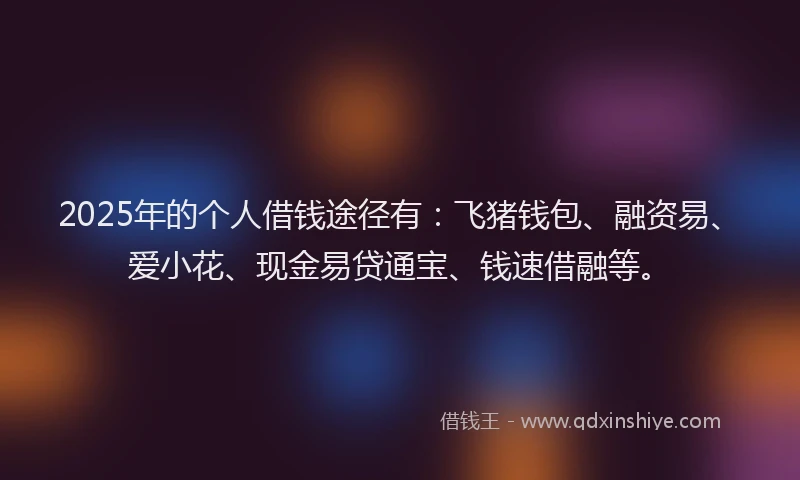 2025年的个人借钱途径有：飞猪钱包、融资易、爱小花、现金易贷通宝、钱速借融等。