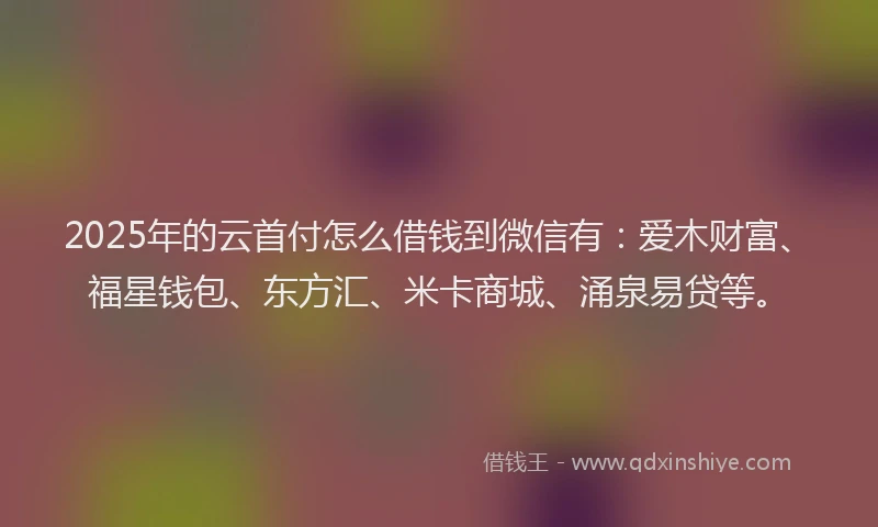 2025年的云首付怎么借钱到微信有：爱木财富、福星钱包、东方汇、米卡商城、涌泉易贷等。