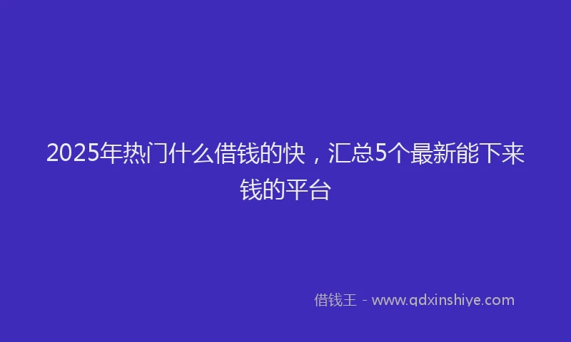 2025年热门什么借钱的快，汇总5个最新能下来钱的平台