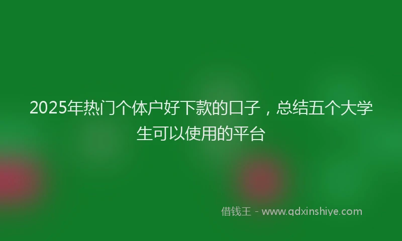 2025年热门个体户好下款的口子，总结五个大学生可以使用的平台