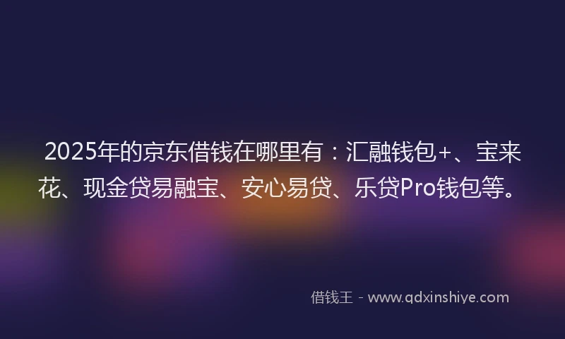 2025年的京东借钱在哪里有：汇融钱包+、宝来花、现金贷易融宝、安心易贷、乐贷Pro钱包等。