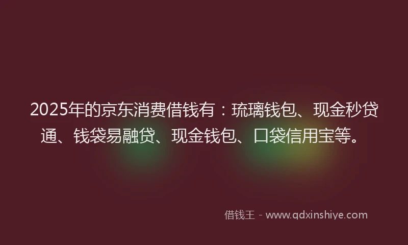 2025年的京东消费借钱有：琉璃钱包、现金秒贷通、钱袋易融贷、现金钱包、口袋信用宝等。