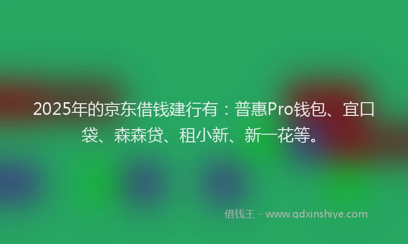 2025年的京东借钱建行有：普惠Pro钱包、宜口袋、森森贷、租小新、新一花等。