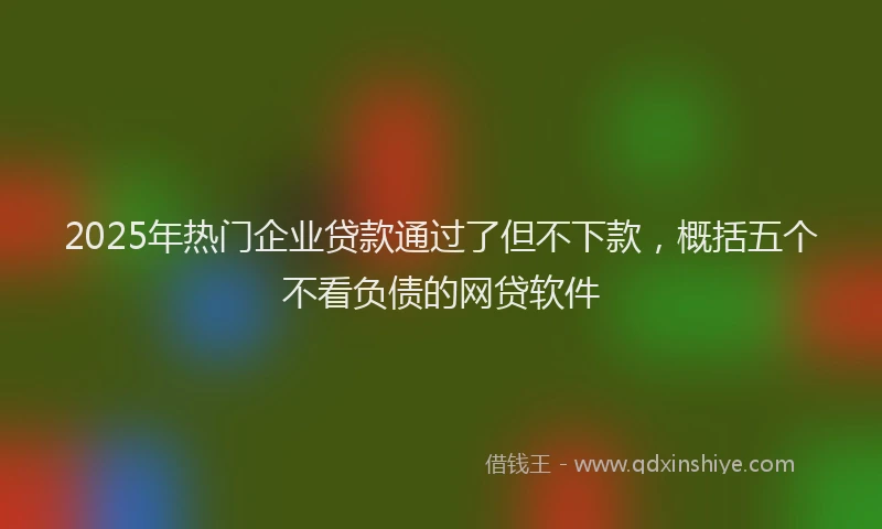 2025年热门企业贷款通过了但不下款，概括五个不看负债的网贷软件