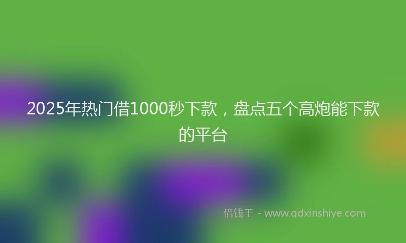2025年热门借1000秒下款，盘点五个高炮能下款的平台