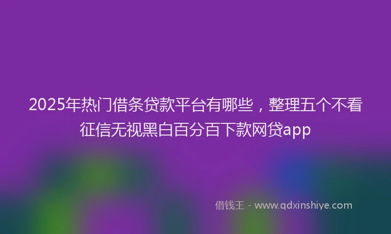 2025年热门借条贷款平台有哪些，整理五个不看征信无视黑白百分百下款网贷app