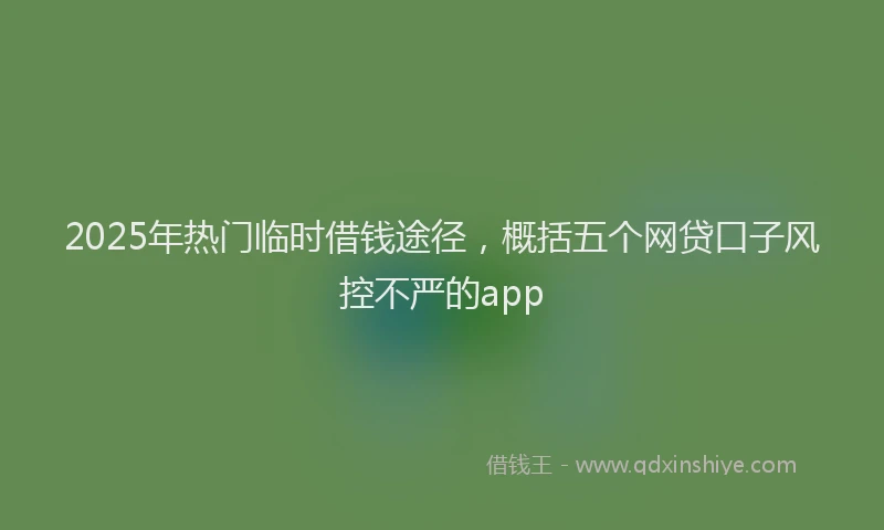 2025年热门临时借钱途径，概括五个网贷口子风控不严的app