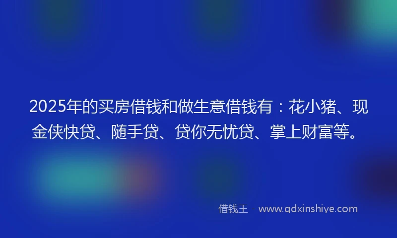 2025年的买房借钱和做生意借钱有：花小猪、现金侠快贷、随手贷、贷你无忧贷、掌上财富等。