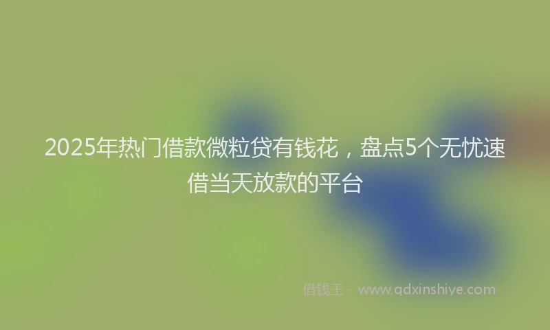 2025年热门借款微粒贷有钱花，盘点5个无忧速借当天放款的平台