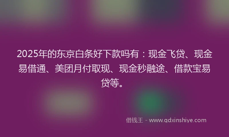 2025年的东京白条好下款吗有：现金飞贷、现金易借通、美团月付取现、现金秒融途、借款宝易贷等。