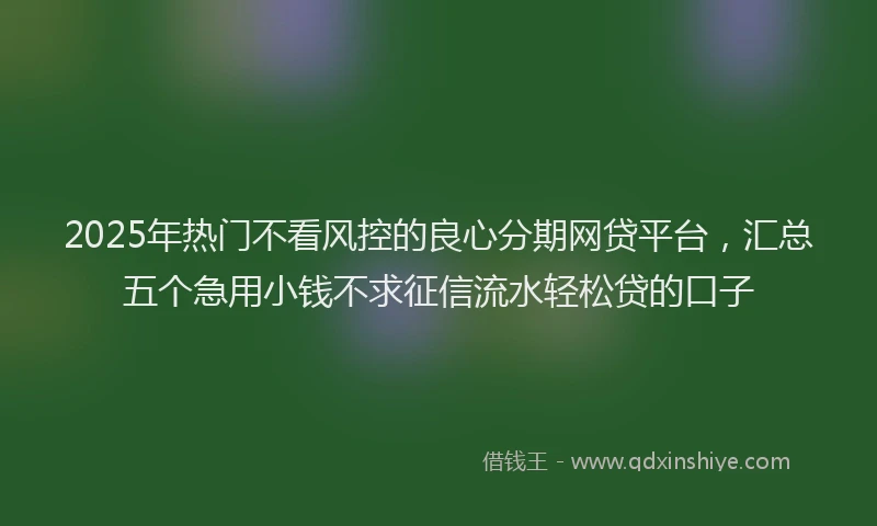 2025年热门不看风控的良心分期网贷平台，汇总五个急用小钱不求征信流水轻松贷的口子