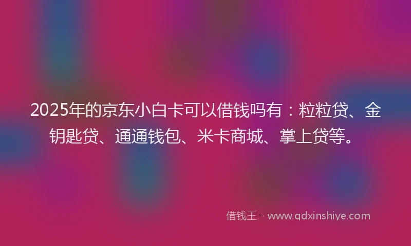 2025年的京东小白卡可以借钱吗有：粒粒贷、金钥匙贷、通通钱包、米卡商城、掌上贷等。