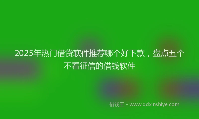 2025年热门借贷软件推荐哪个好下款，盘点五个不看征信的借钱软件
