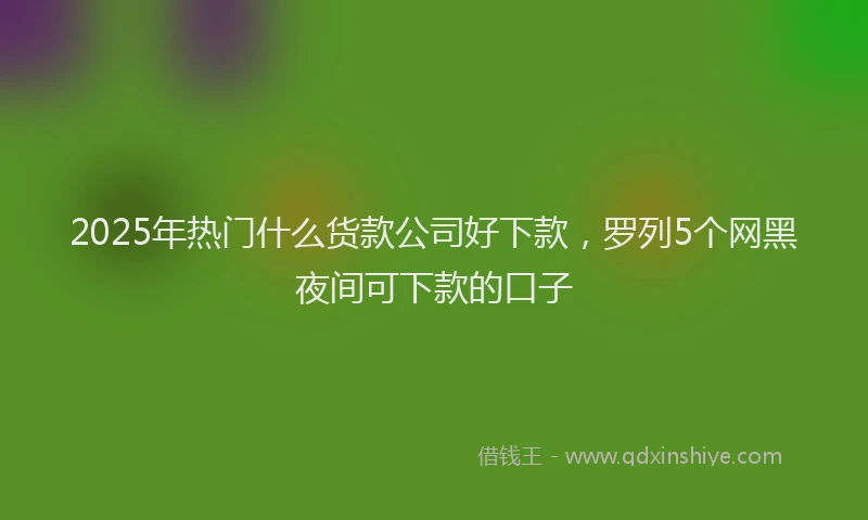 2025年热门什么货款公司好下款，罗列5个网黑夜间可下款的口子