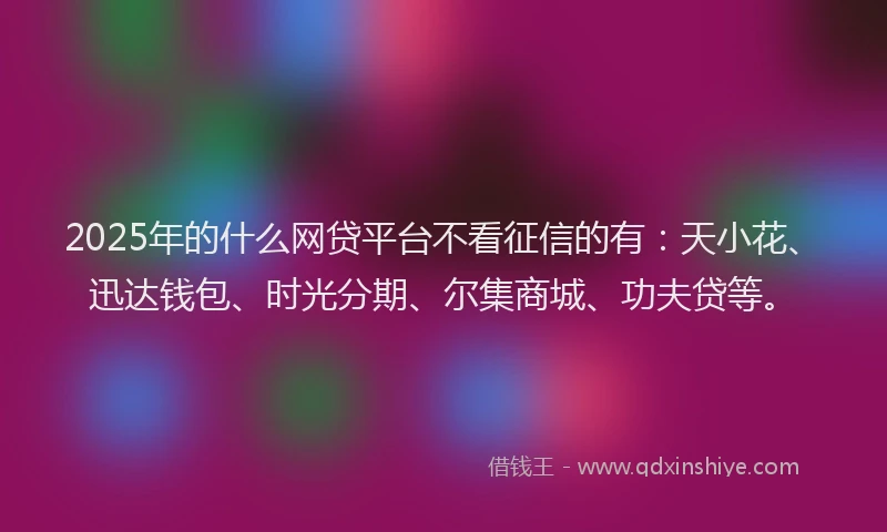 2025年的什么网贷平台不看征信的有：天小花、迅达钱包、时光分期、尔集商城、功夫贷等。