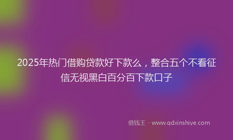 2025年热门借购贷款好下款么，整合五个不看征信无视黑白百分百下款口子