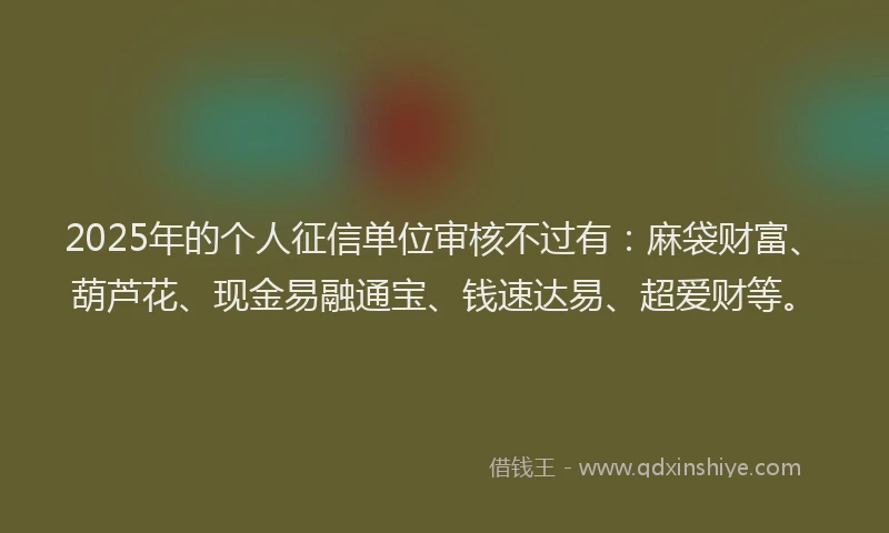 2025年的个人征信单位审核不过有：麻袋财富、葫芦花、现金易融通宝、钱速达易、超爱财等。