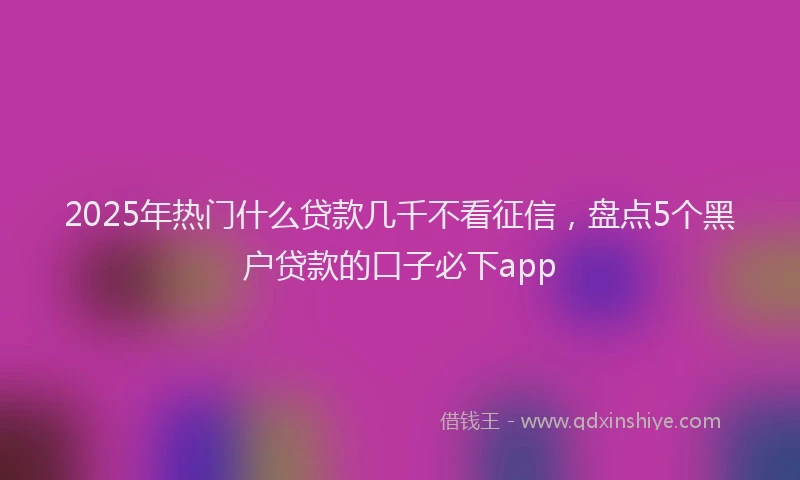 2025年热门什么贷款几千不看征信，盘点5个黑户贷款的口子必下app