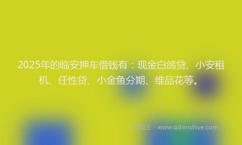 2025年的临安押车借钱有：现金白鸽贷、小安租机、任性贷、小金鱼分期、维品花等。