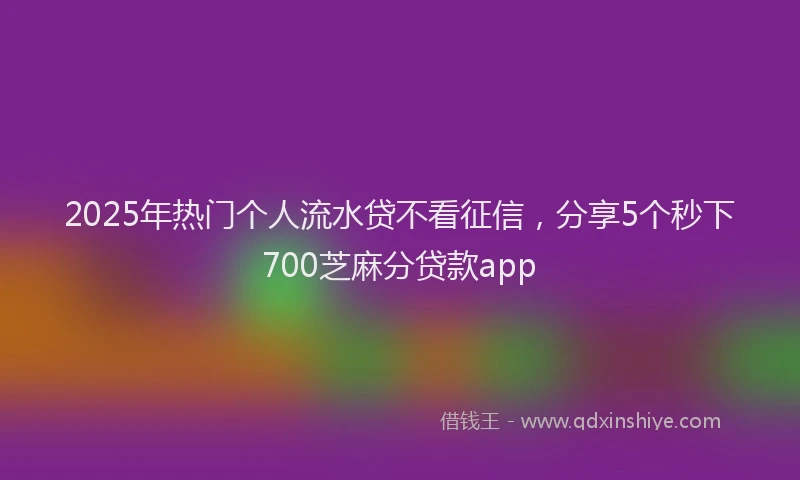 2025年热门个人流水贷不看征信，分享5个秒下700芝麻分贷款app