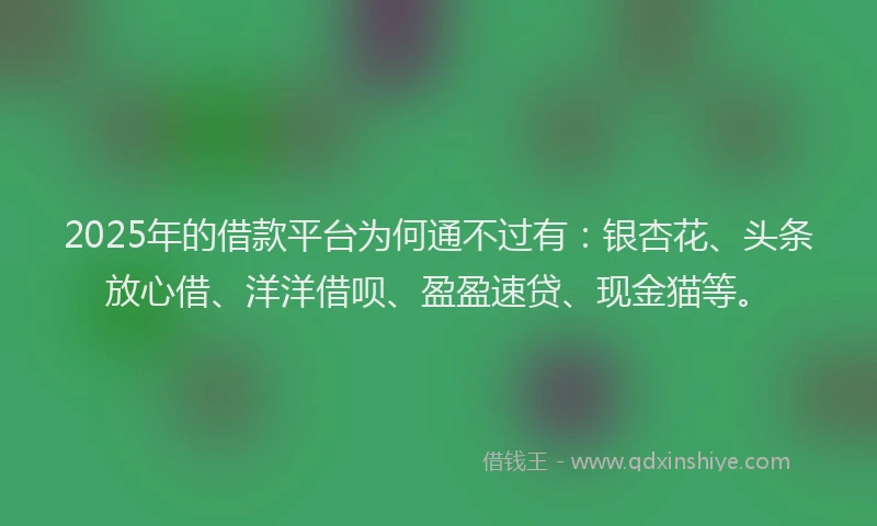 2025年的借款平台为何通不过有：银杏花、头条放心借、洋洋借呗、盈盈速贷、现金猫等。