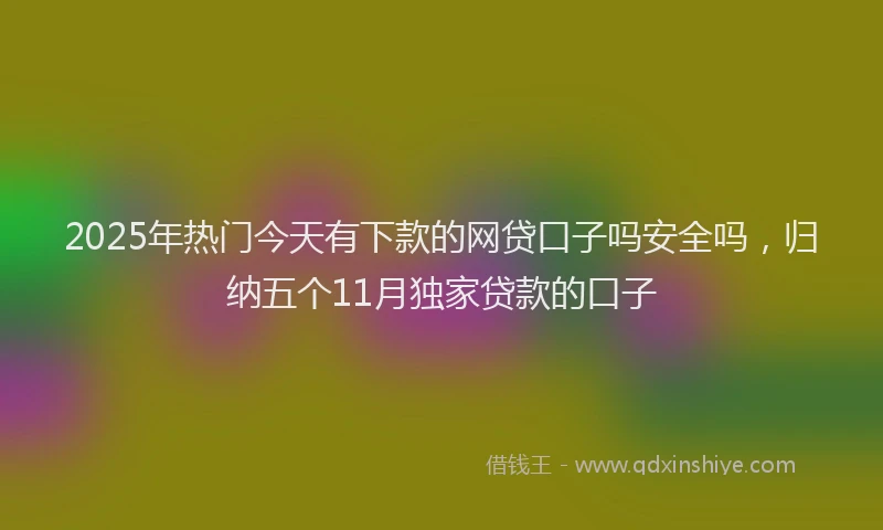 2025年热门今天有下款的网贷口子吗安全吗，归纳五个11月独家贷款的口子