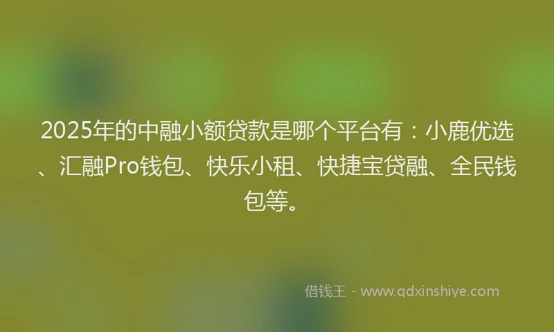 2025年的中融小额贷款是哪个平台有：小鹿优选、汇融Pro钱包、快乐小租、快捷宝贷融、全民钱包等。