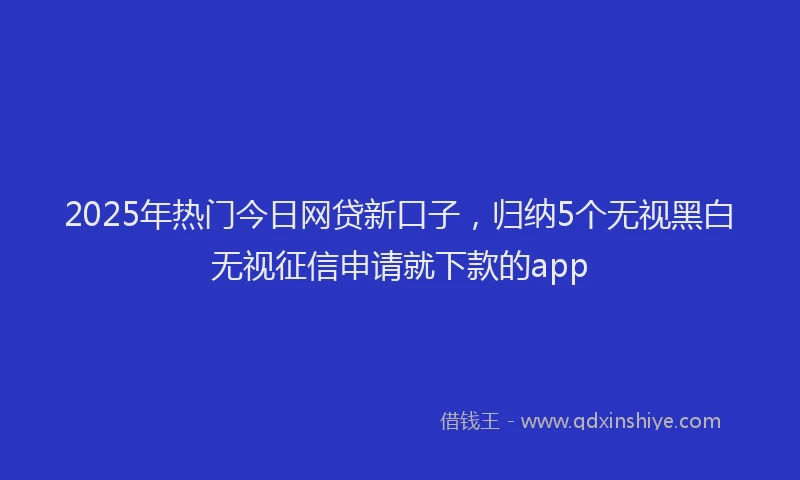 2025年热门今日网贷新口子，归纳5个无视黑白无视征信申请就下款的app
