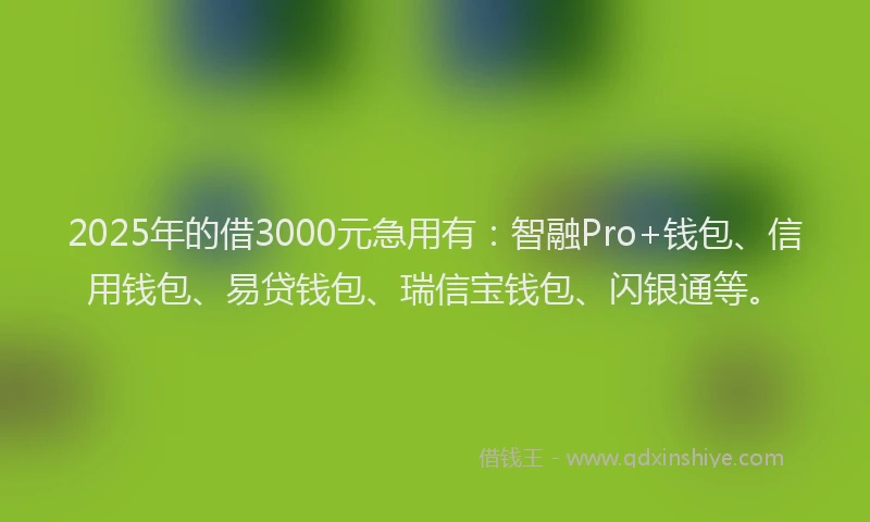 2025年的借3000元急用有：智融Pro+钱包、信用钱包、易贷钱包、瑞信宝钱包、闪银通等。