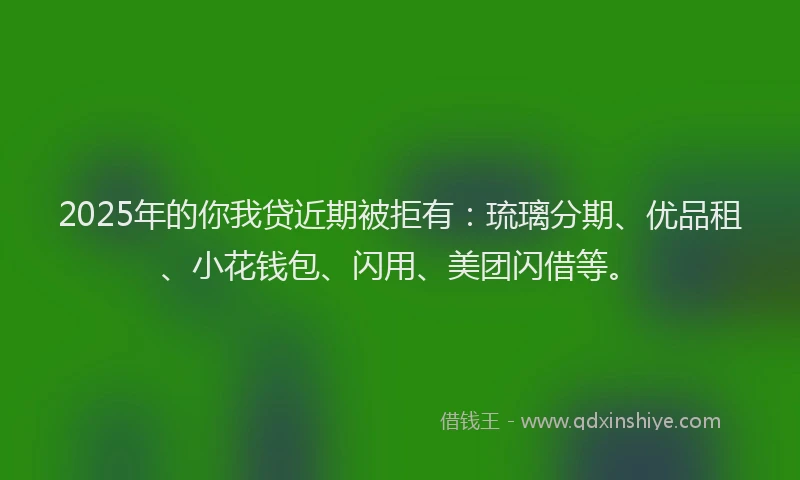2025年的你我贷近期被拒有：琉璃分期、优品租、小花钱包、闪用、美团闪借等。