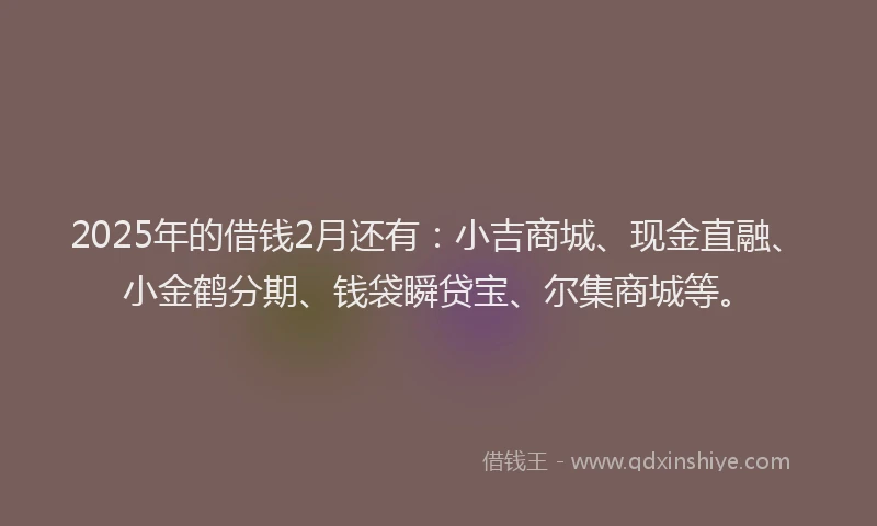 2025年的借钱2月还有：小吉商城、现金直融、小金鹤分期、钱袋瞬贷宝、尔集商城等。