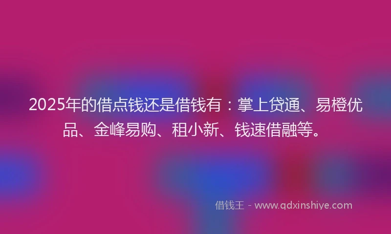2025年的借点钱还是借钱有：掌上贷通、易橙优品、金峰易购、租小新、钱速借融等。