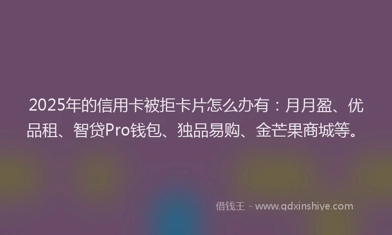 2025年的信用卡被拒卡片怎么办有：月月盈、优品租、智贷Pro钱包、独品易购、金芒果商城等。