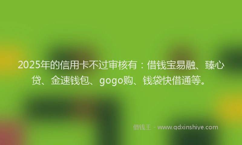 2025年的信用卡不过审核有：借钱宝易融、臻心贷、金速钱包、gogo购、钱袋快借通等。