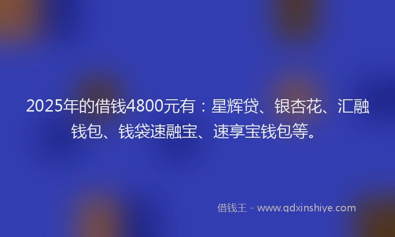 2025年的借钱4800元有：星辉贷、银杏花、汇融钱包、钱袋速融宝、速享宝钱包等。