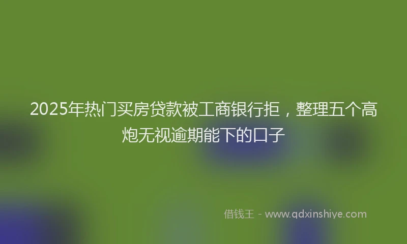 2025年热门买房贷款被工商银行拒，整理五个高炮无视逾期能下的口子