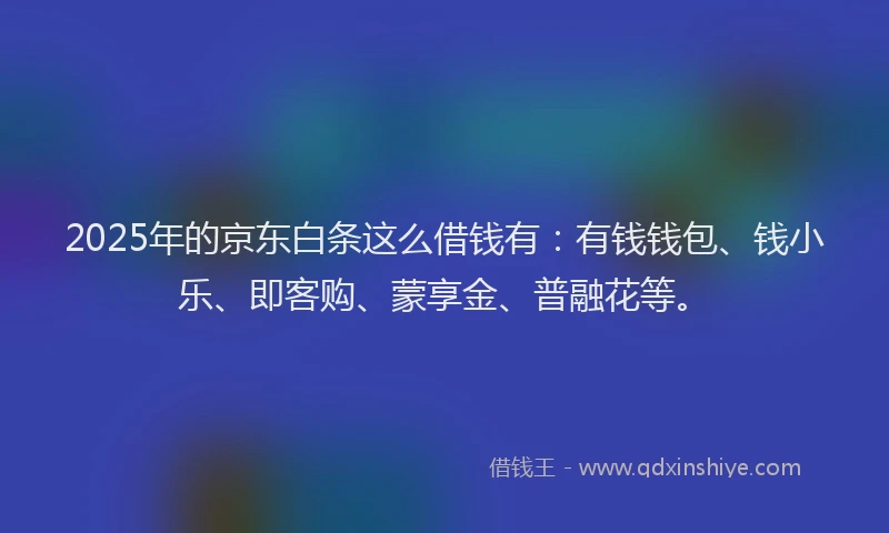 2025年的京东白条这么借钱有：有钱钱包、钱小乐、即客购、蒙享金、普融花等。