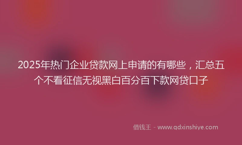 2025年热门企业贷款网上申请的有哪些，汇总五个不看征信无视黑白百分百下款网贷口子