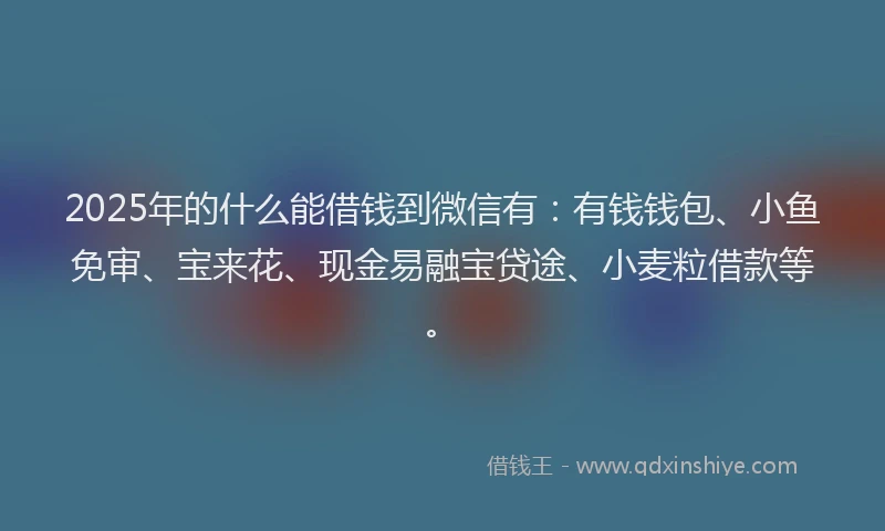 2025年的什么能借钱到微信有：有钱钱包、小鱼免审、宝来花、现金易融宝贷途、小麦粒借款等。