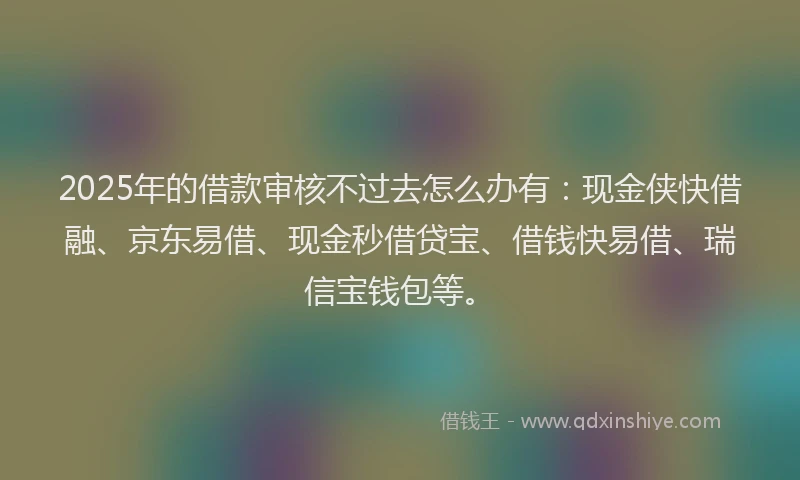 2025年的借款审核不过去怎么办有：现金侠快借融、京东易借、现金秒借贷宝、借钱快易借、瑞信宝钱包等。