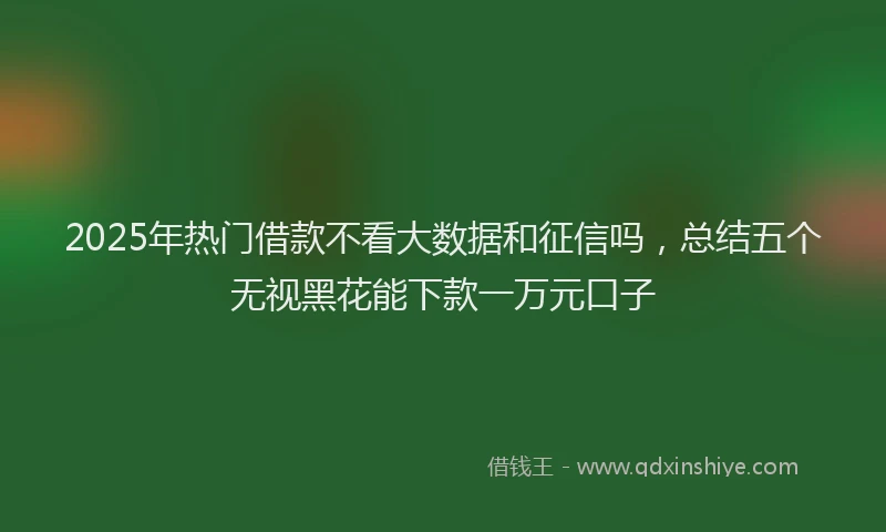 2025年热门借款不看大数据和征信吗，总结五个无视黑花能下款一万元口子