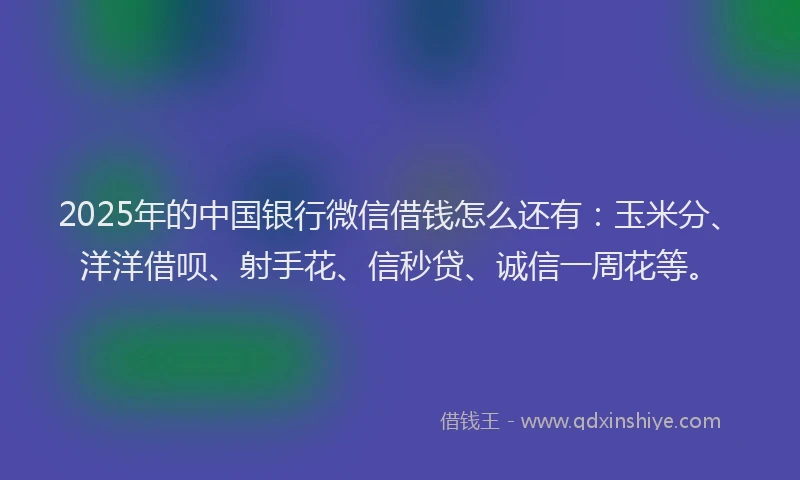 2025年的中国银行微信借钱怎么还有：玉米分、洋洋借呗、射手花、信秒贷、诚信一周花等。