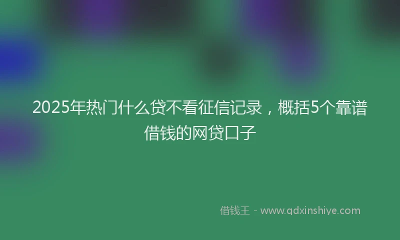 2025年热门什么贷不看征信记录，概括5个靠谱借钱的网贷口子