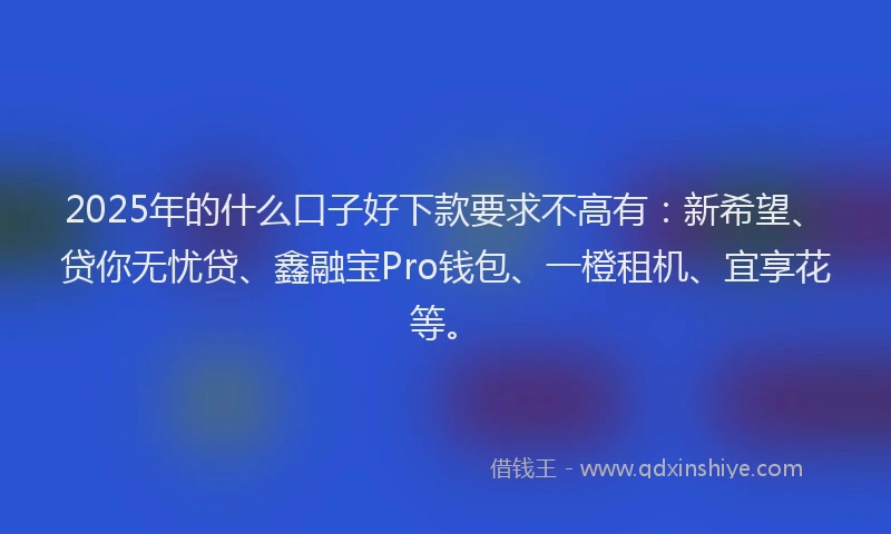 2025年的什么口子好下款要求不高有：新希望、贷你无忧贷、鑫融宝Pro钱包、一橙租机、宜享花等。