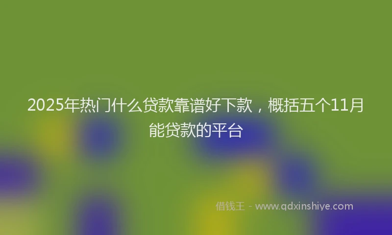 2025年热门什么贷款靠谱好下款，概括五个11月能贷款的平台