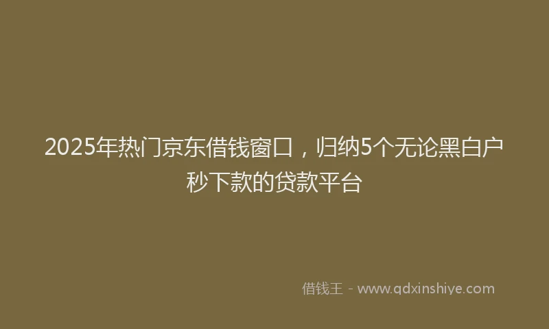 2025年热门京东借钱窗口，归纳5个无论黑白户秒下款的贷款平台
